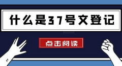 什么是37號(hào)文登記