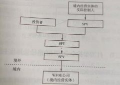 股權(quán)控制類和VIE協(xié)議控制類紅籌架構(gòu)的概述